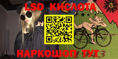 прущие грибы Можга