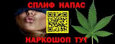 прущие грибы Можга