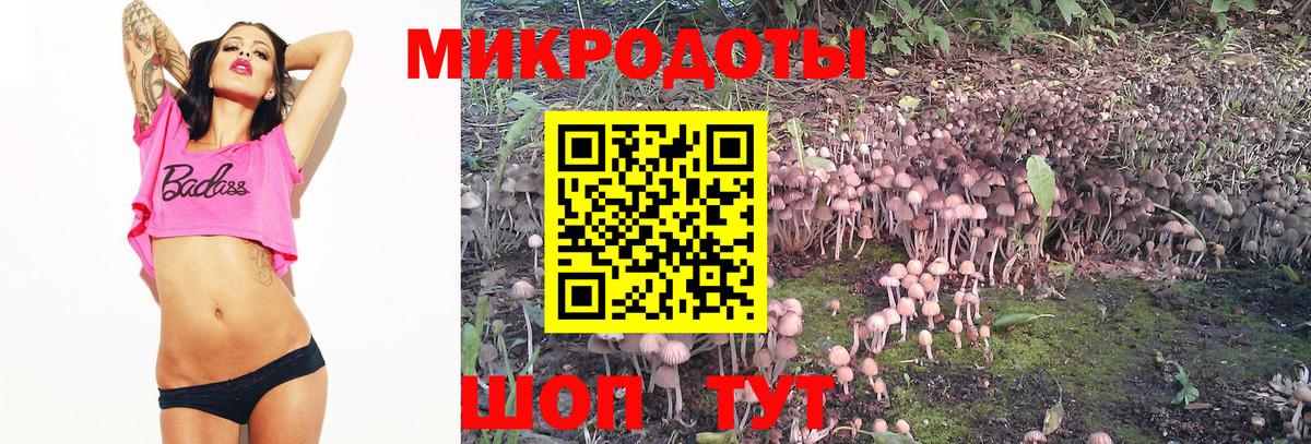 Заволжье  Псилоцибиновые грибы прущие грибы  Вход с VPN  Псилоцибиновые грибы мухоморы 